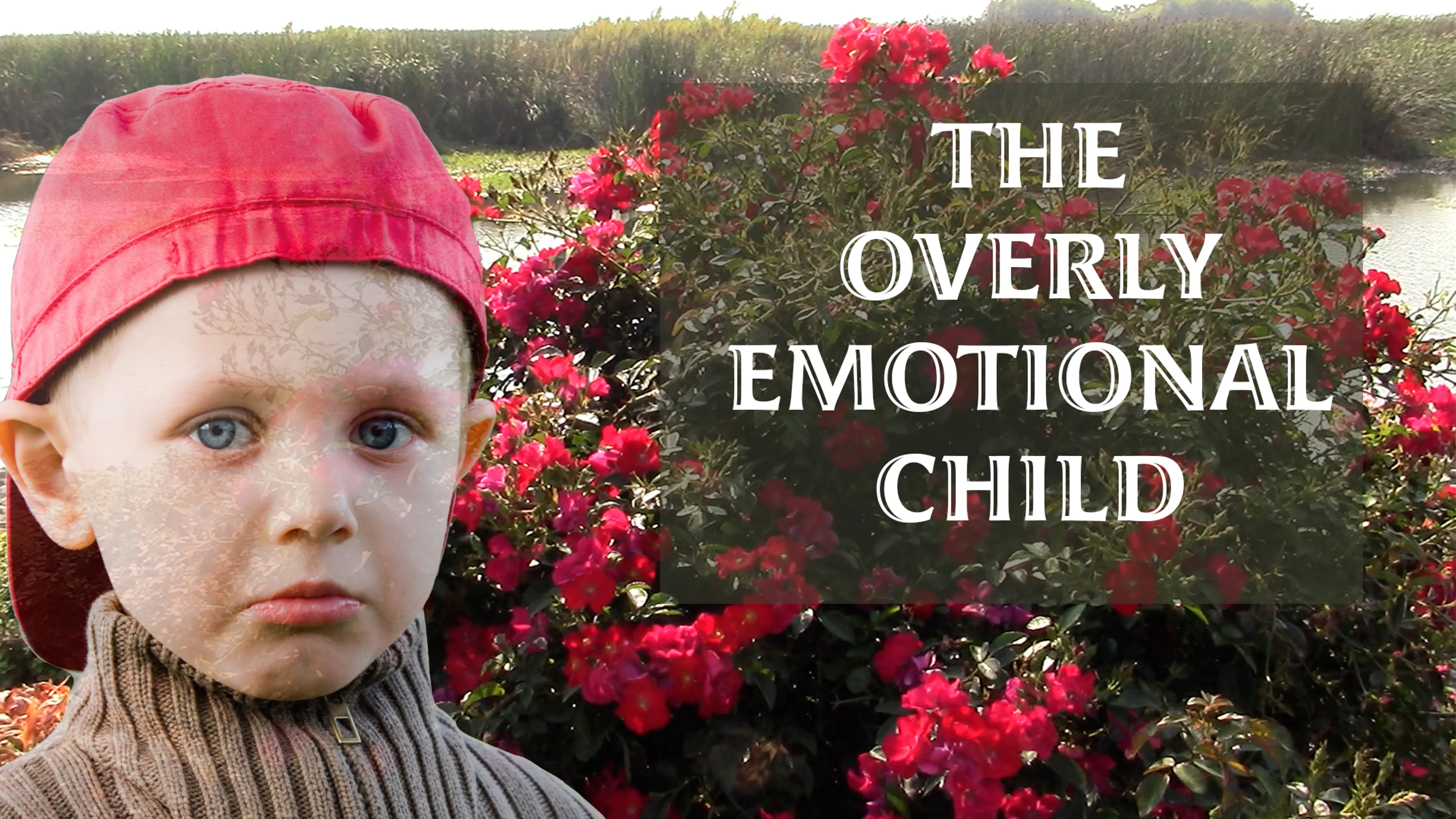 The Overly Emotional Child poster